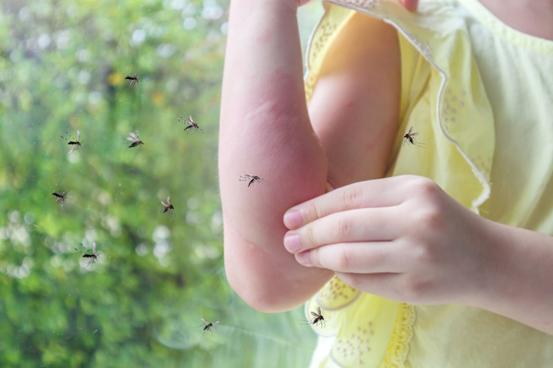 child scratching mosquito bites with mosquitos flying around her arm