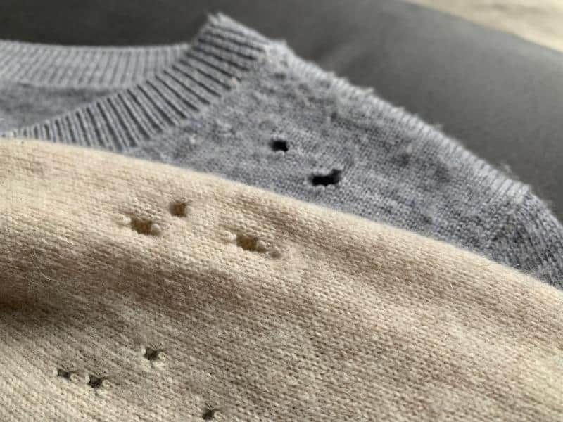 moth eaten wool sweaters