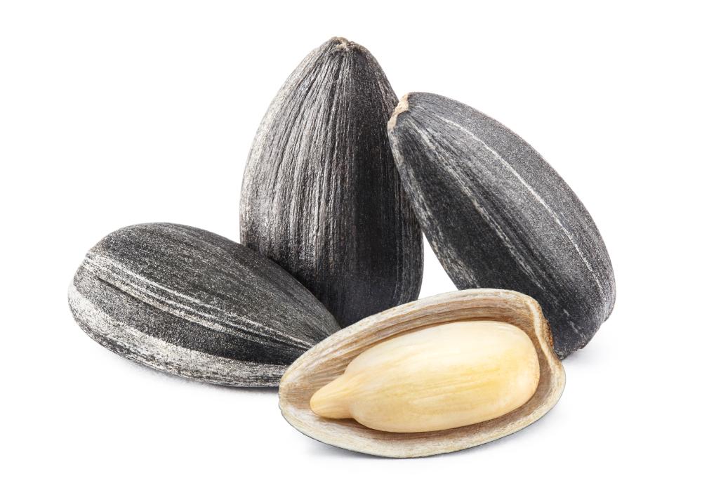 four sunflower seeds isolated on a white background