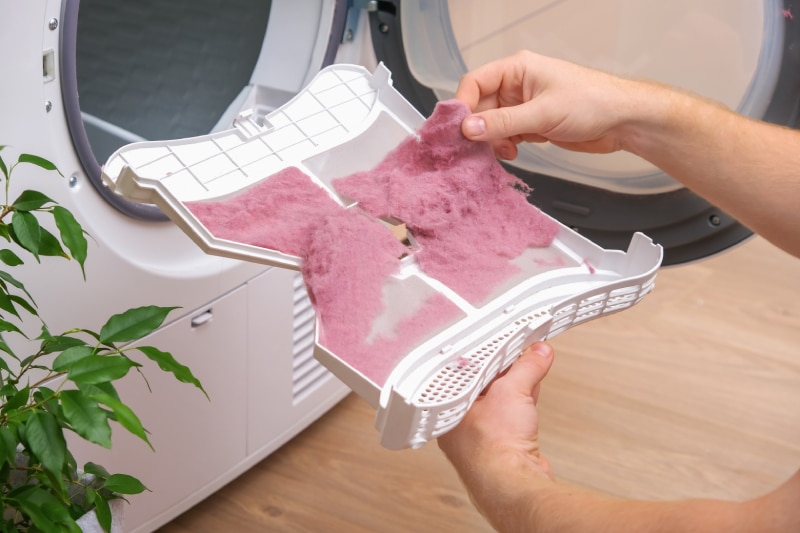 A man collects lint, hair, wool from the filter of a drying machine