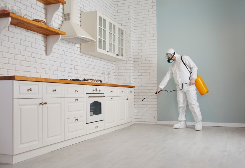 Pest control guy in a mask and protective white suit spraying poison from a sprayer bottle all over kitchen cupboards and cabinets