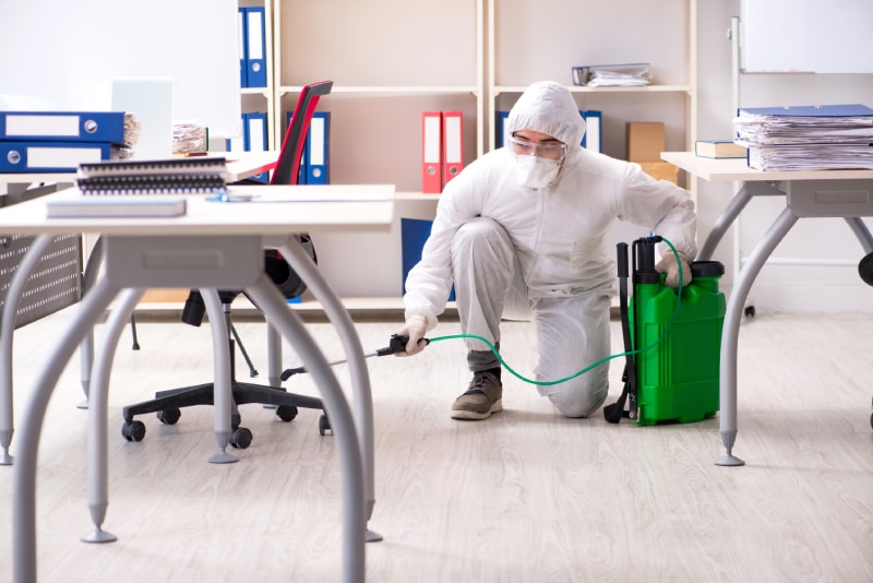 exterminator doing pest control in a office 