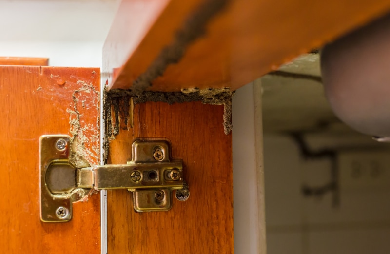 termite damage to a cabinet near a hinge