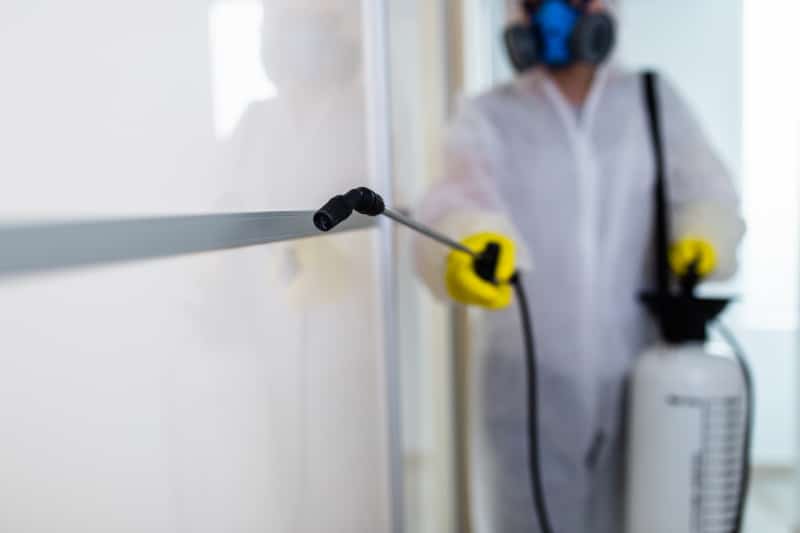 Exterminator in work wear spraying pesticide with sprayer