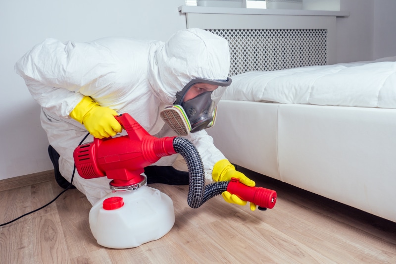 pest control worker lying on floor and spraying pesticides under bedroom