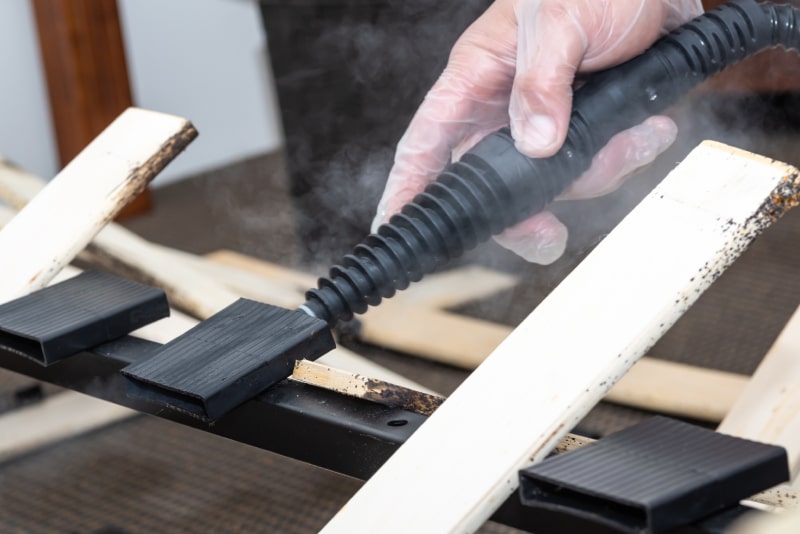 pest control specialist removing bed bugs with a specialized vacuum cleaner