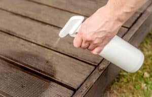 Homeowner sprays a bug on their deck with a spray bottle of essential oils