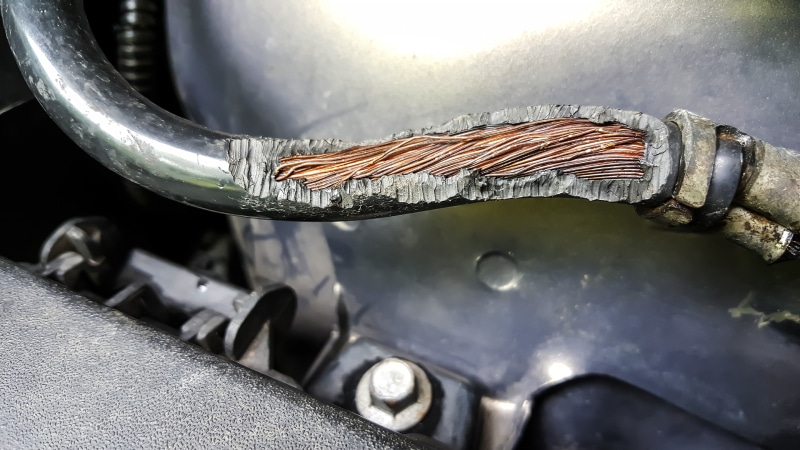 Damage on rubber of electricity wire in the car from rat bite