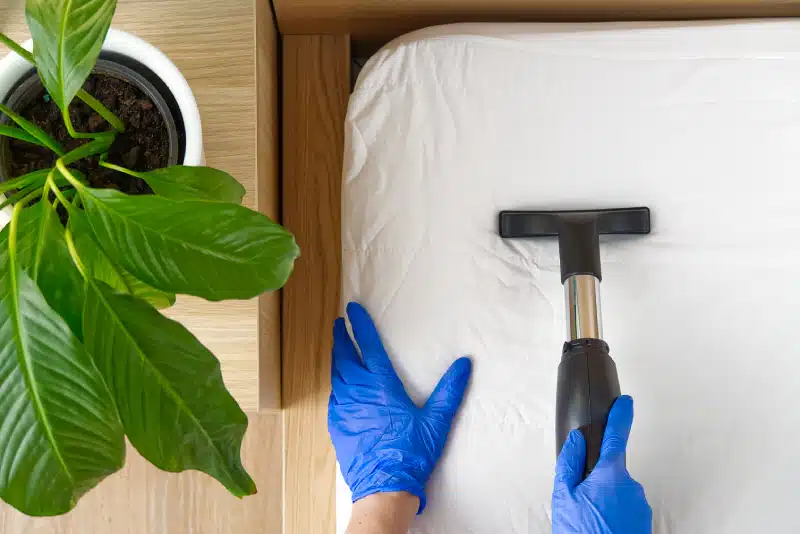 Person vacuuming hypoallergenic bedding in a house